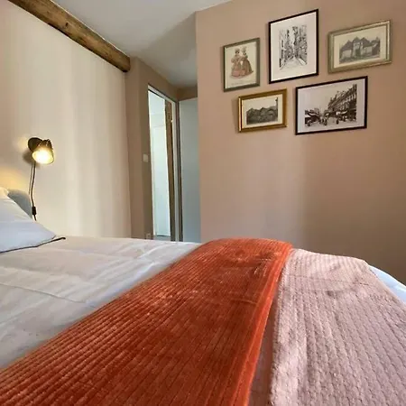 Le Nizier - Cosy Centre-ville - 4-6 Pers - Mon Groom Apartment Troyes